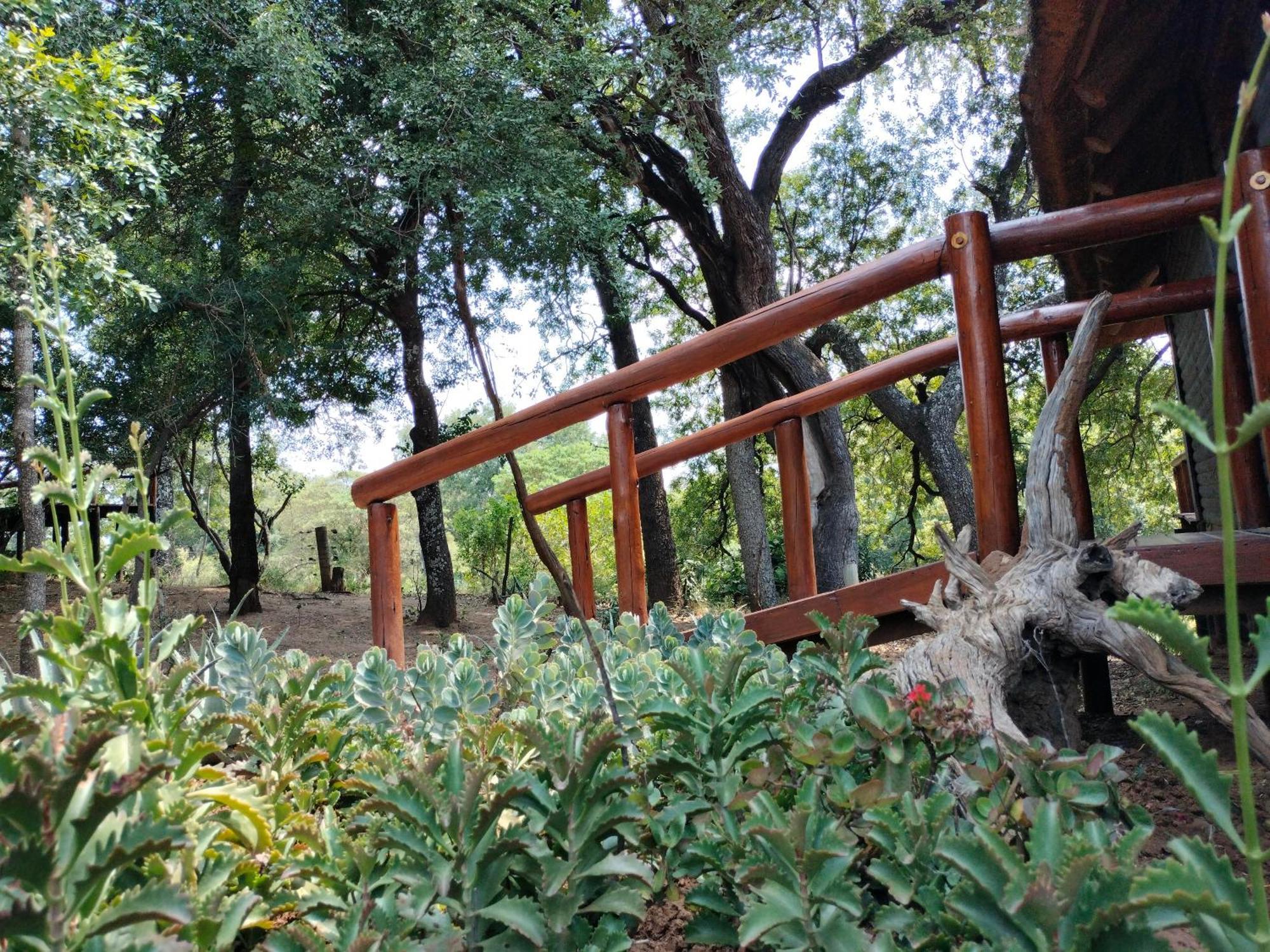 Karongwe Game Reserve Karongwe River Lodge מראה חיצוני תמונה