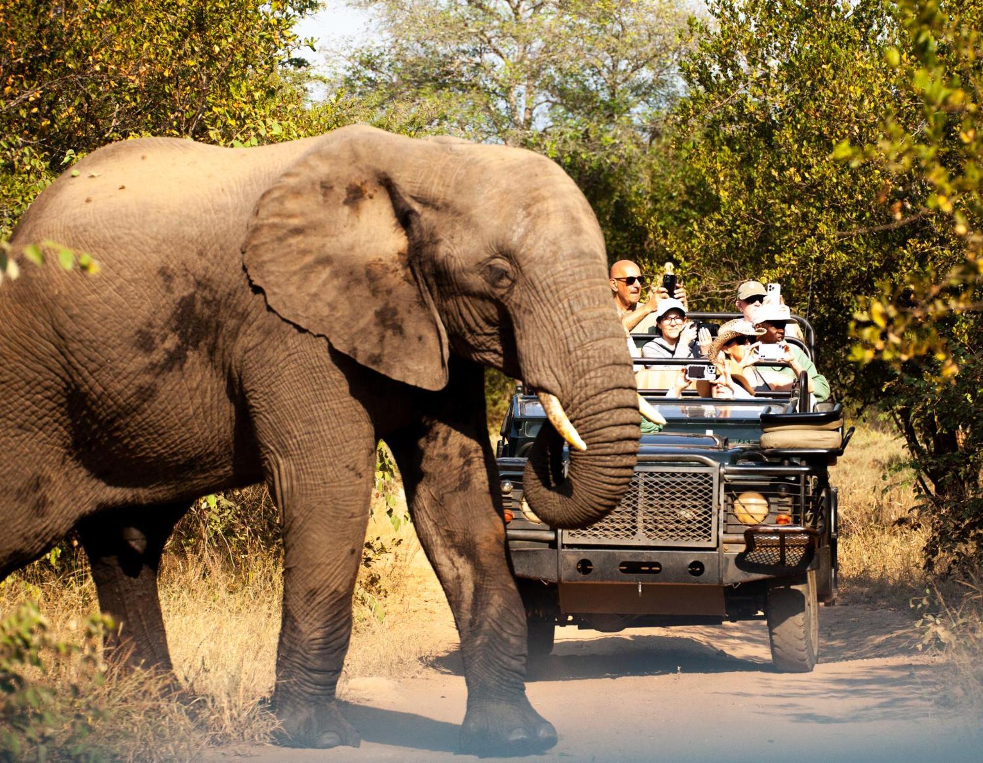 Karongwe Game Reserve Karongwe River Lodge מראה חיצוני תמונה