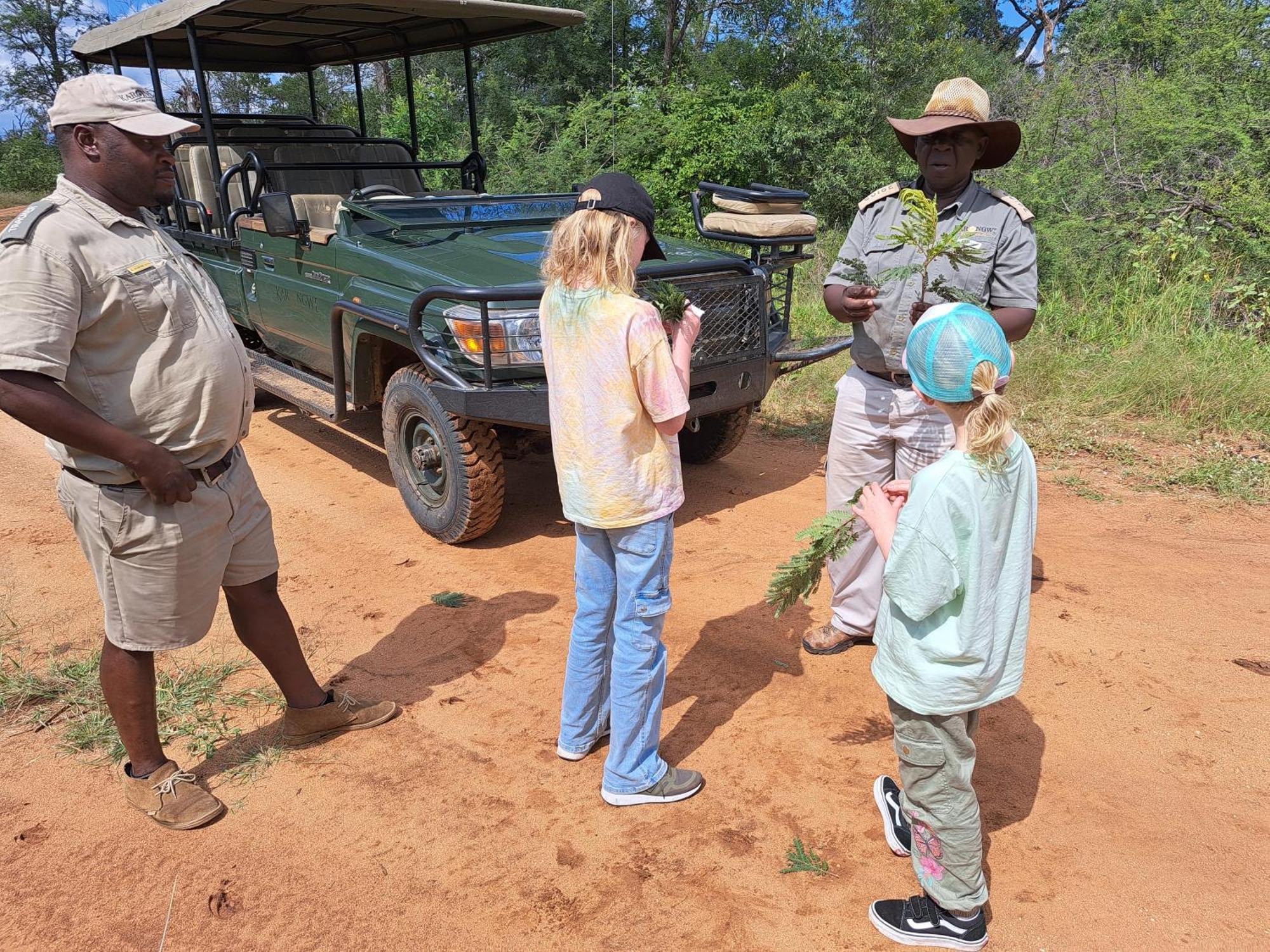Karongwe Game Reserve Karongwe River Lodge מראה חיצוני תמונה